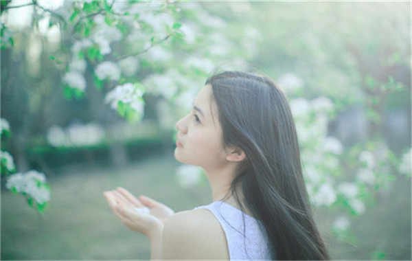 玉泉验血查男女几周可以验(验血查男女结果图)